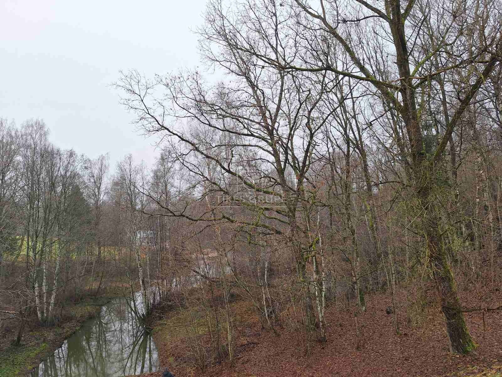 Šis pasiūlymas – puiki galimybė įsigyti unikalų objektą, apimantį žemės ūkio paskirties žemę, mišką ir vandens telkinį viename!