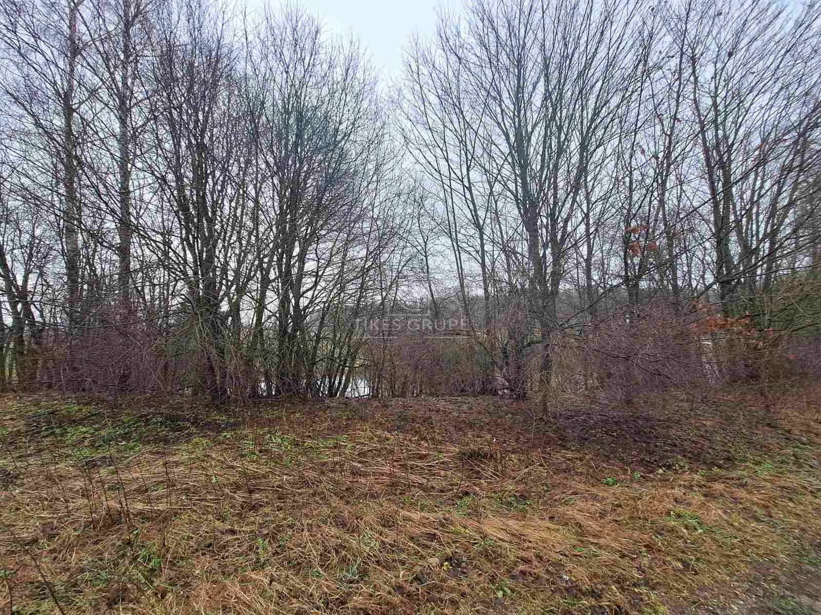 Šis pasiūlymas – puiki galimybė įsigyti unikalų objektą, apimantį žemės ūkio paskirties žemę, mišką ir vandens telkinį viename!