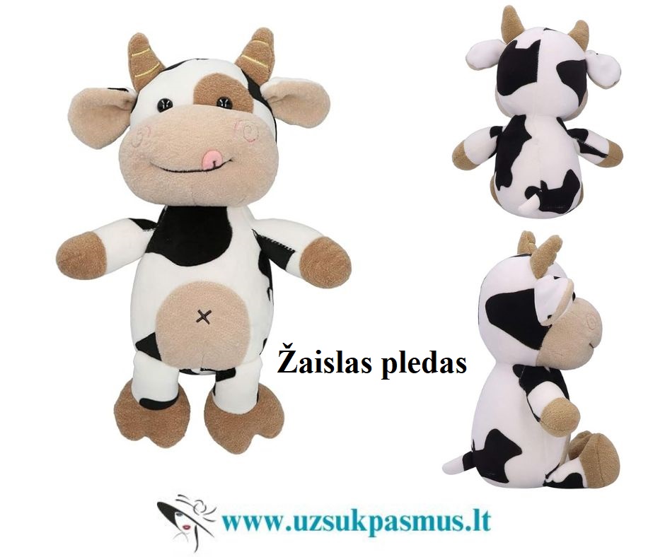 3 viename – pledas, žaislas, pagalvė