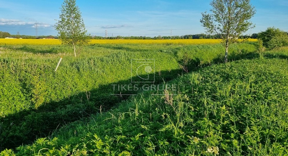 Parduodamas namų valdos sklypas – puiki investicija GRETA GARGŽDŲ (Kuliškiai)!