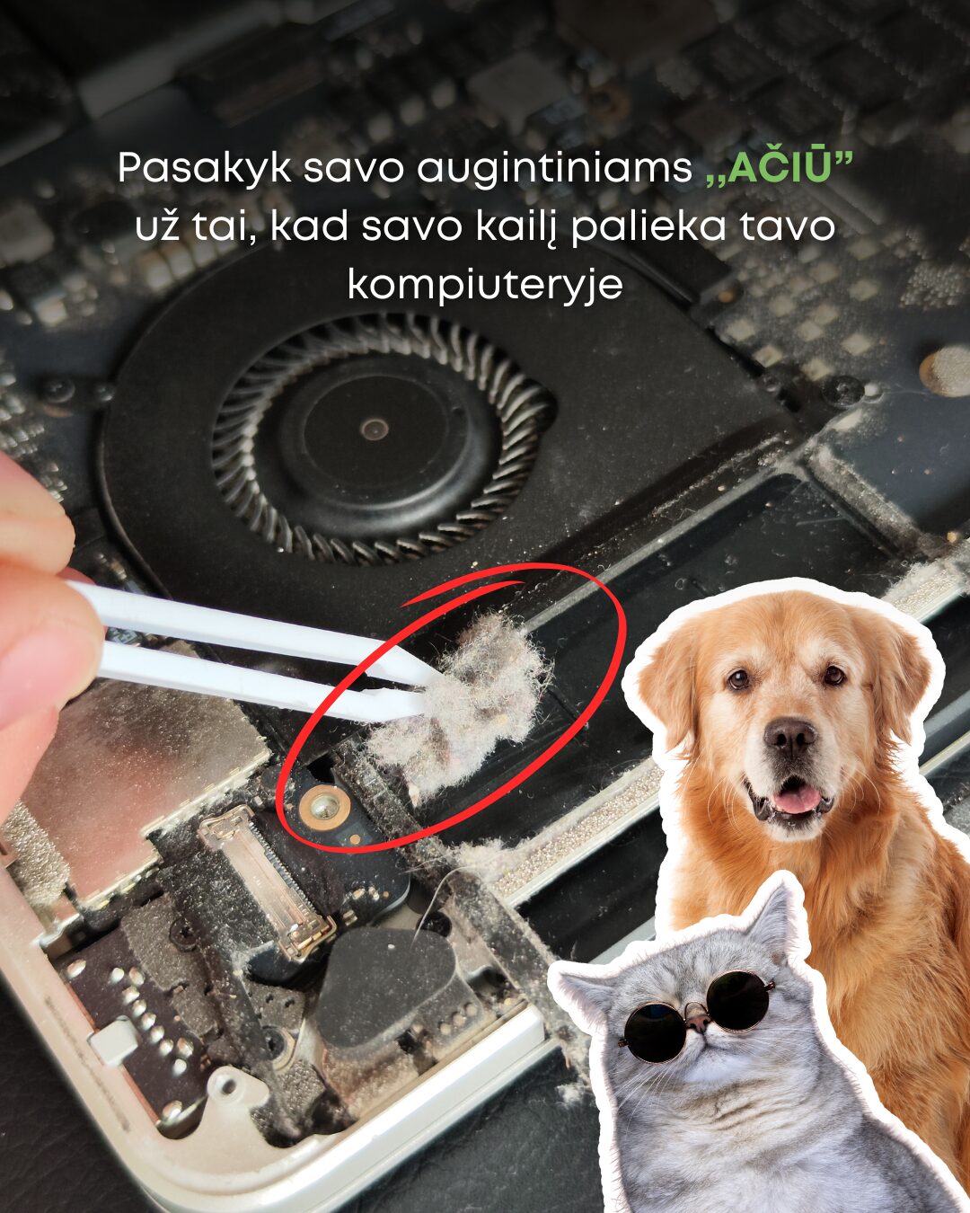 Kompiuterių, telefonų ir kitos elektronikos remontas Plungėje
