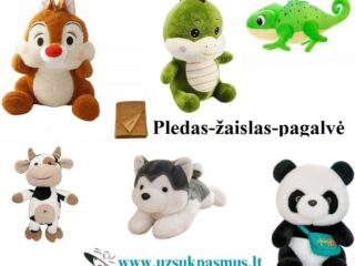 pledas_zaislas_pagalve