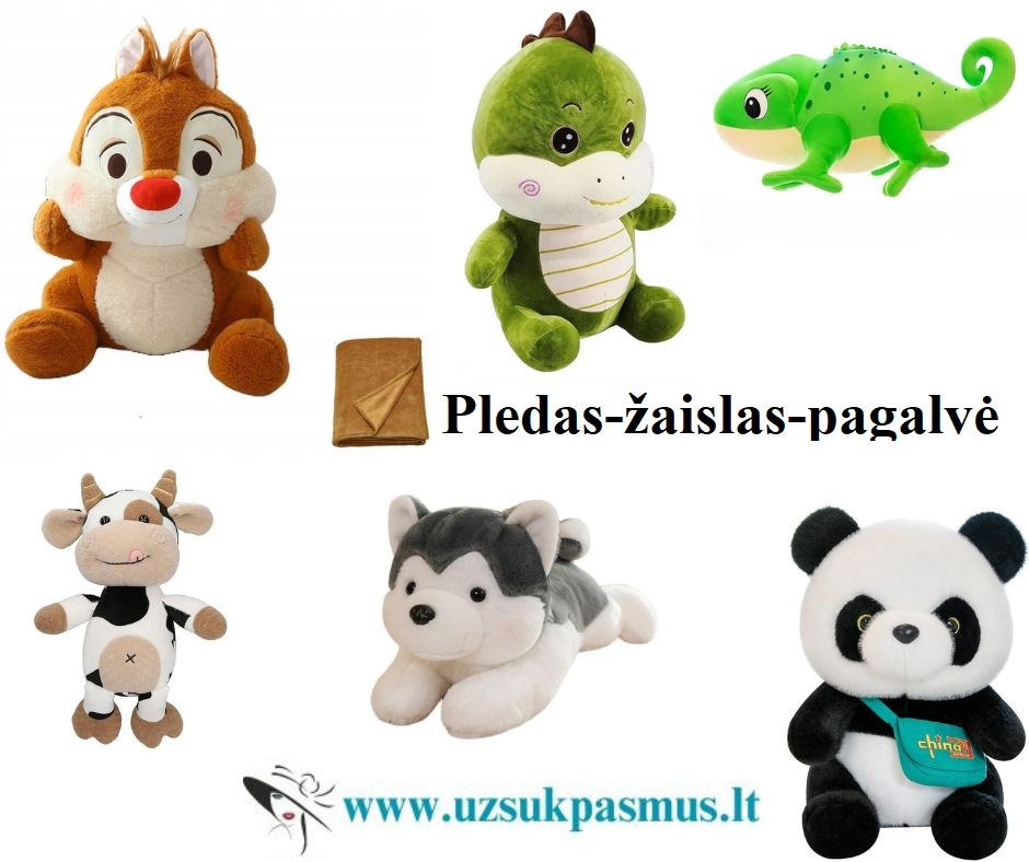 3 viename – pledas, žaislas, pagalvė