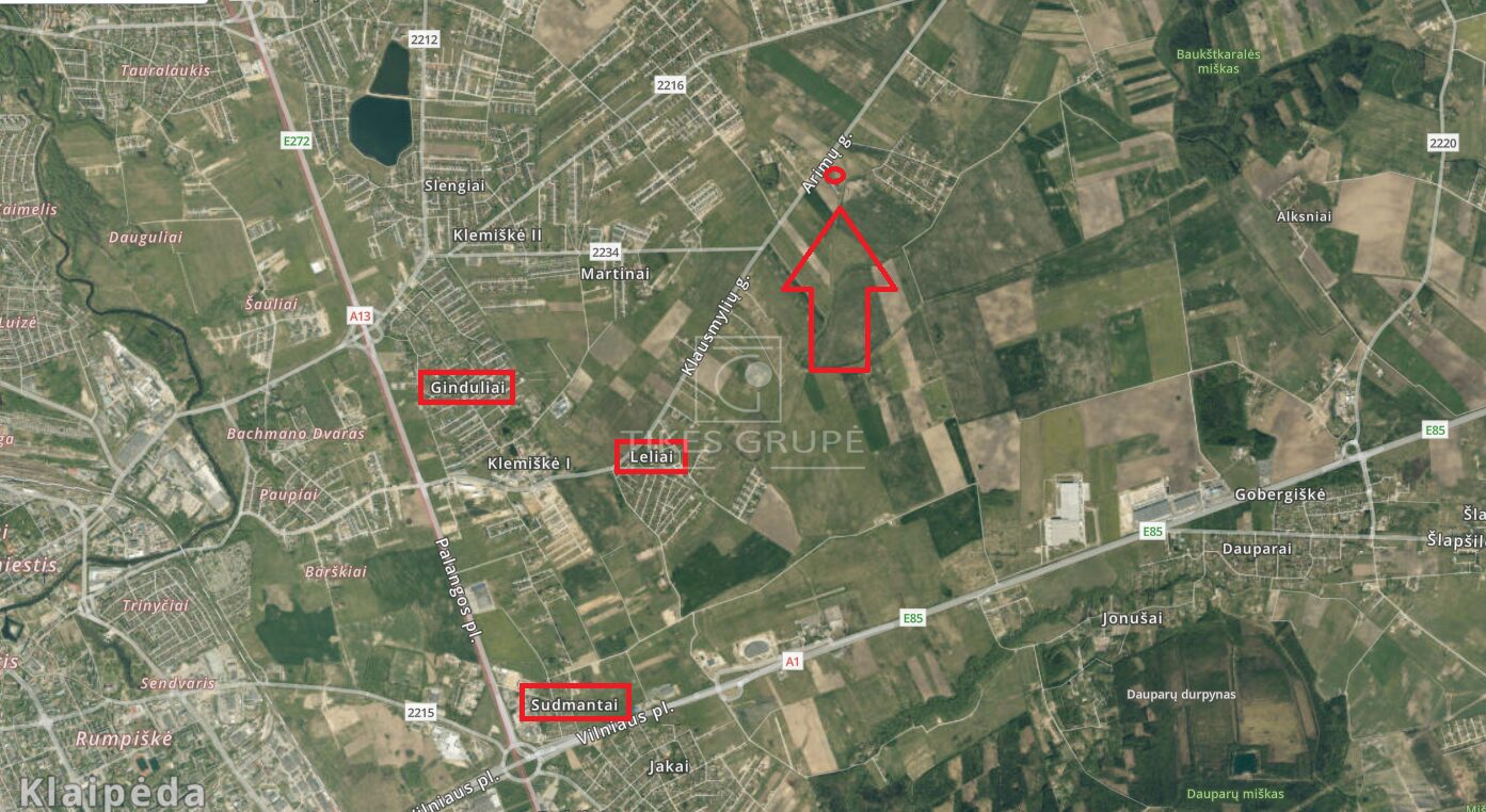 PARDUODAMAS SKLYPAS LELIUOSE 77.58a PRIE PAGRINDINIO KELIO