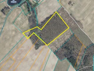 Снимок-экрана-2024-11-12-083038