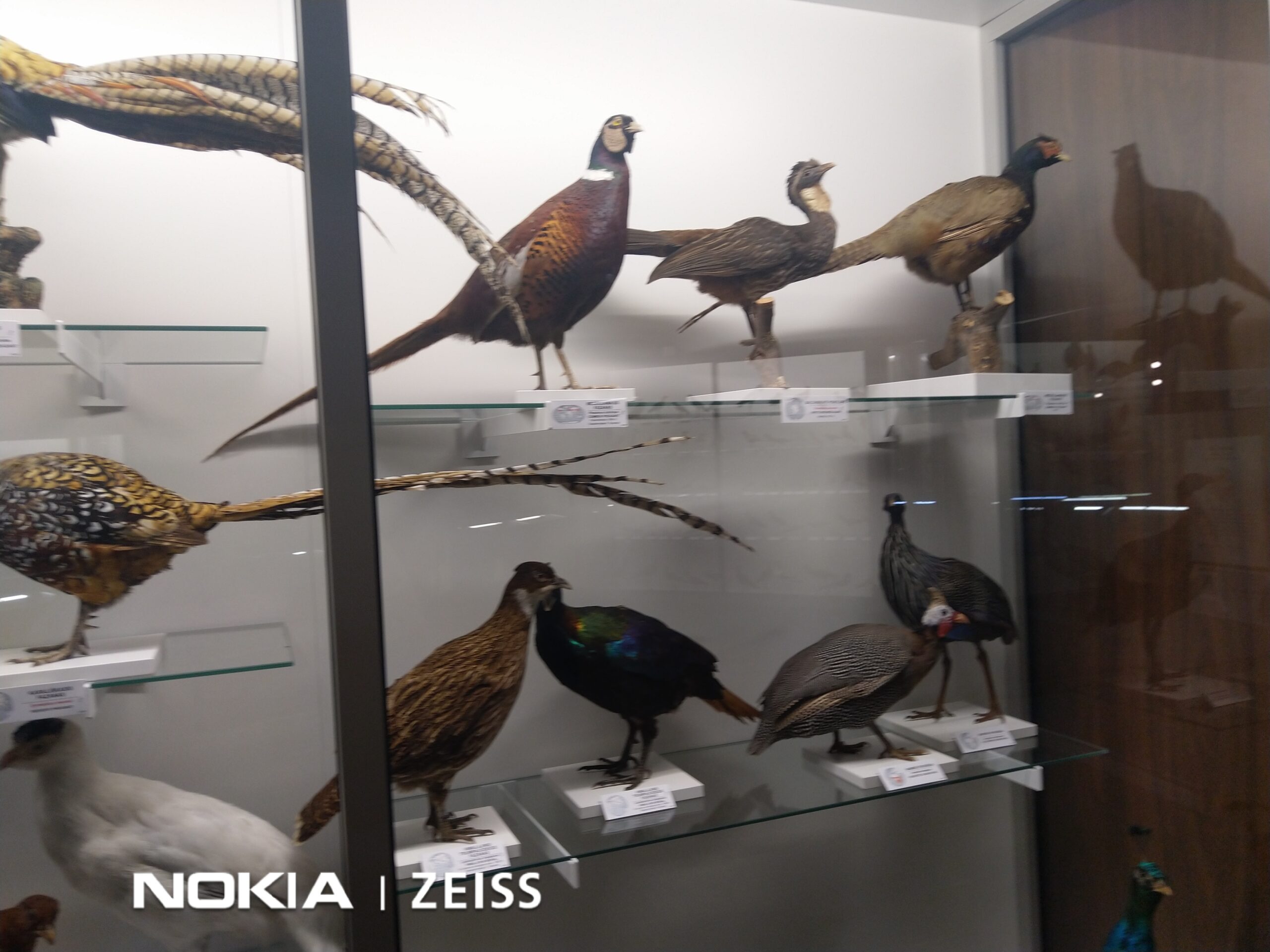 Naujos ir naudotas skalbykles – džiovykles pigiau