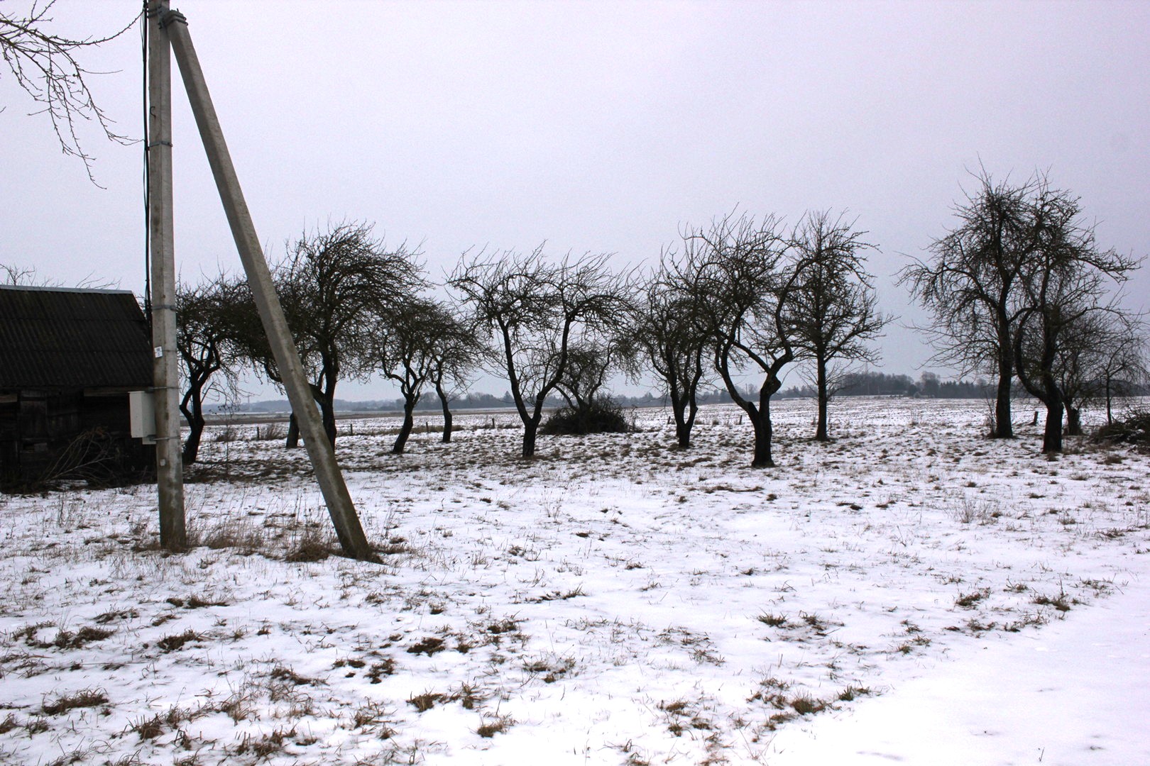 Sodyba šalia Dotnuvos, Valinavos k. Kedainių r.