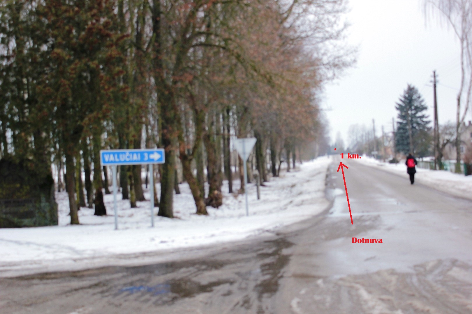 Sodyba šalia Dotnuvos, Valinavos k. Kedainių r.