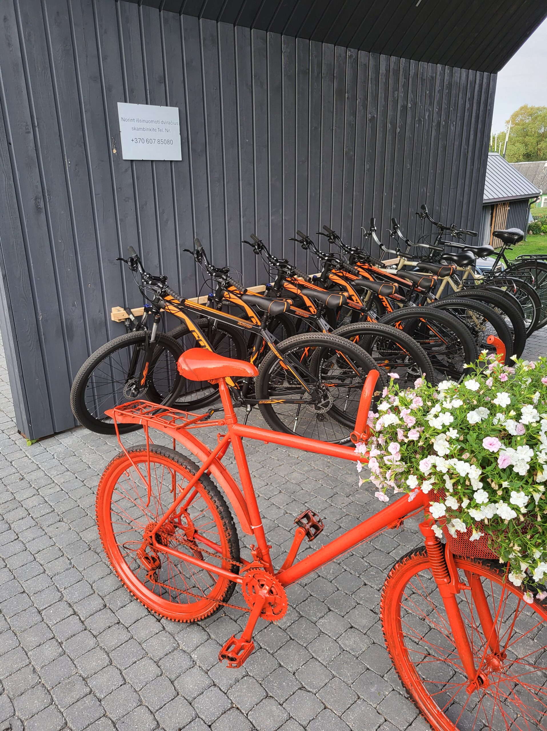 Dviračių nuoma Anykščiuose