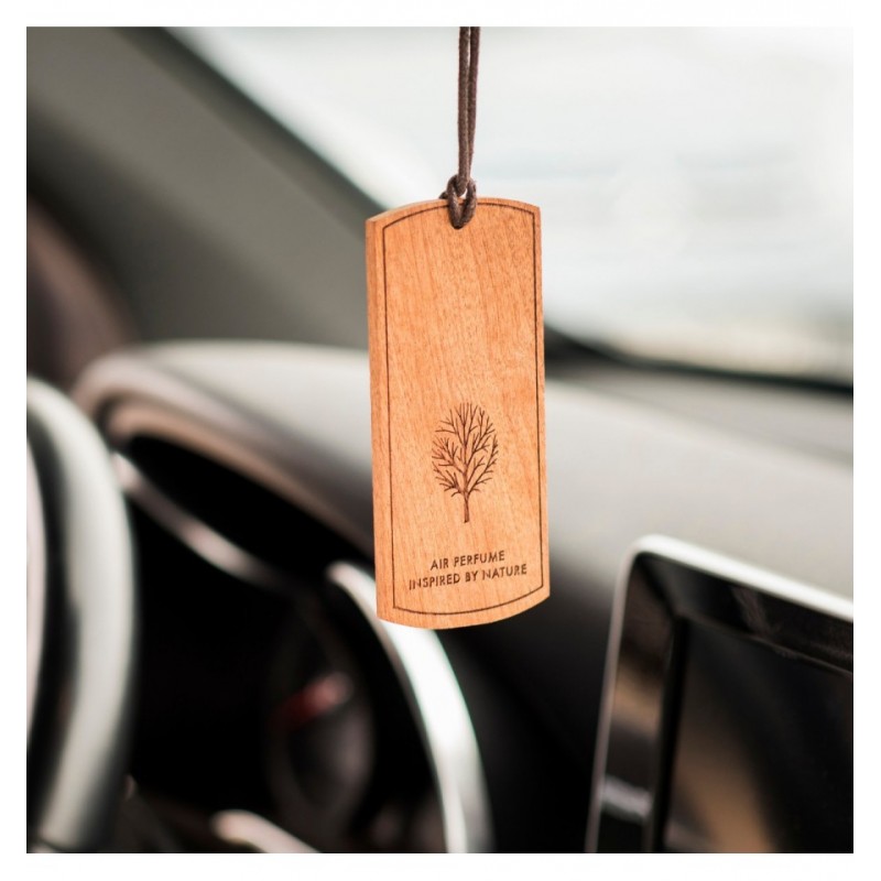 ORO GAIVIKLIAI K2 EVOS (MEDINIAI PAKABUKAI)