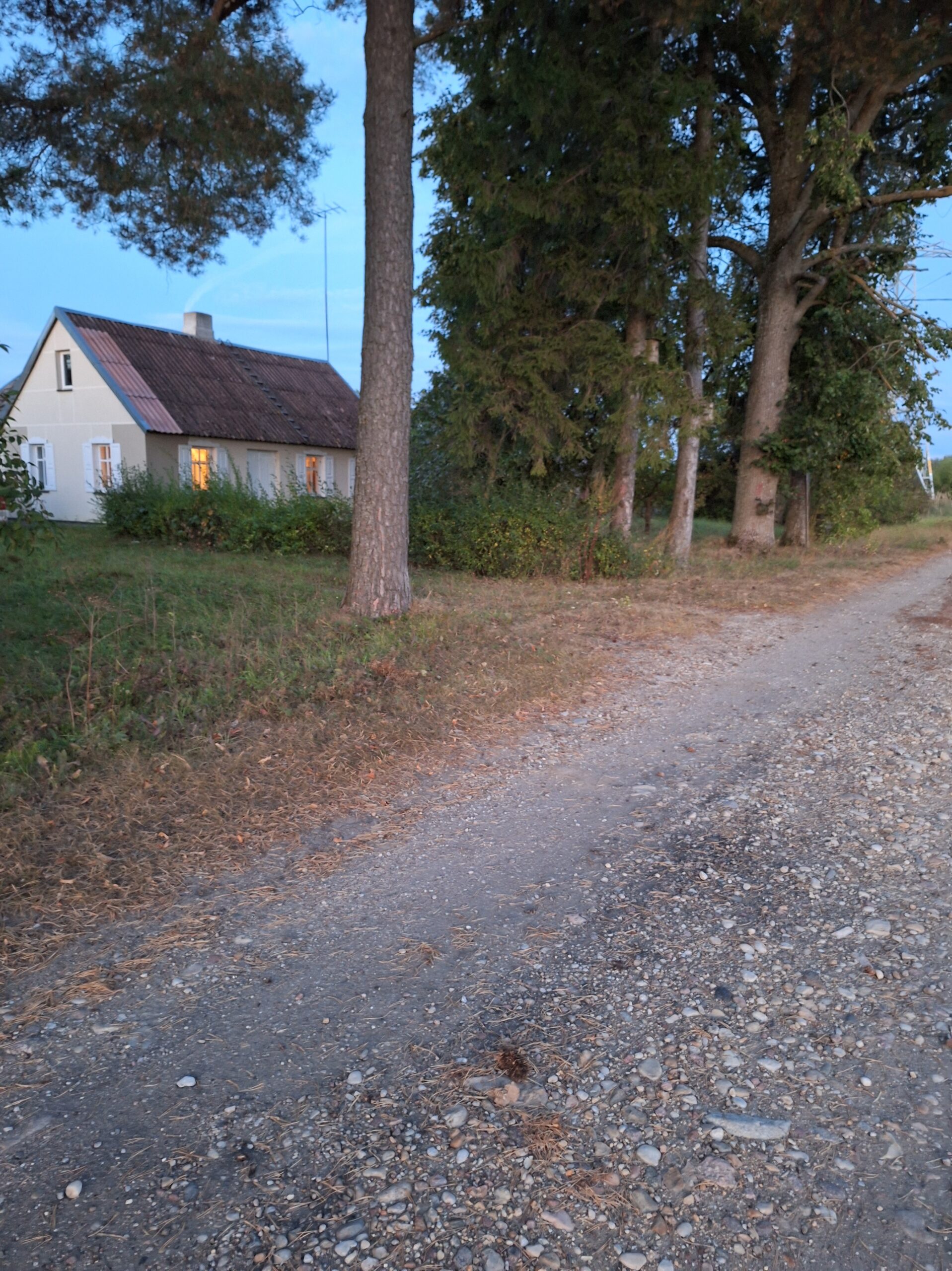 Parduodama sodyba su 2,9 ha žemės sklypu