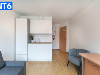 20241001-DSC06831-2
