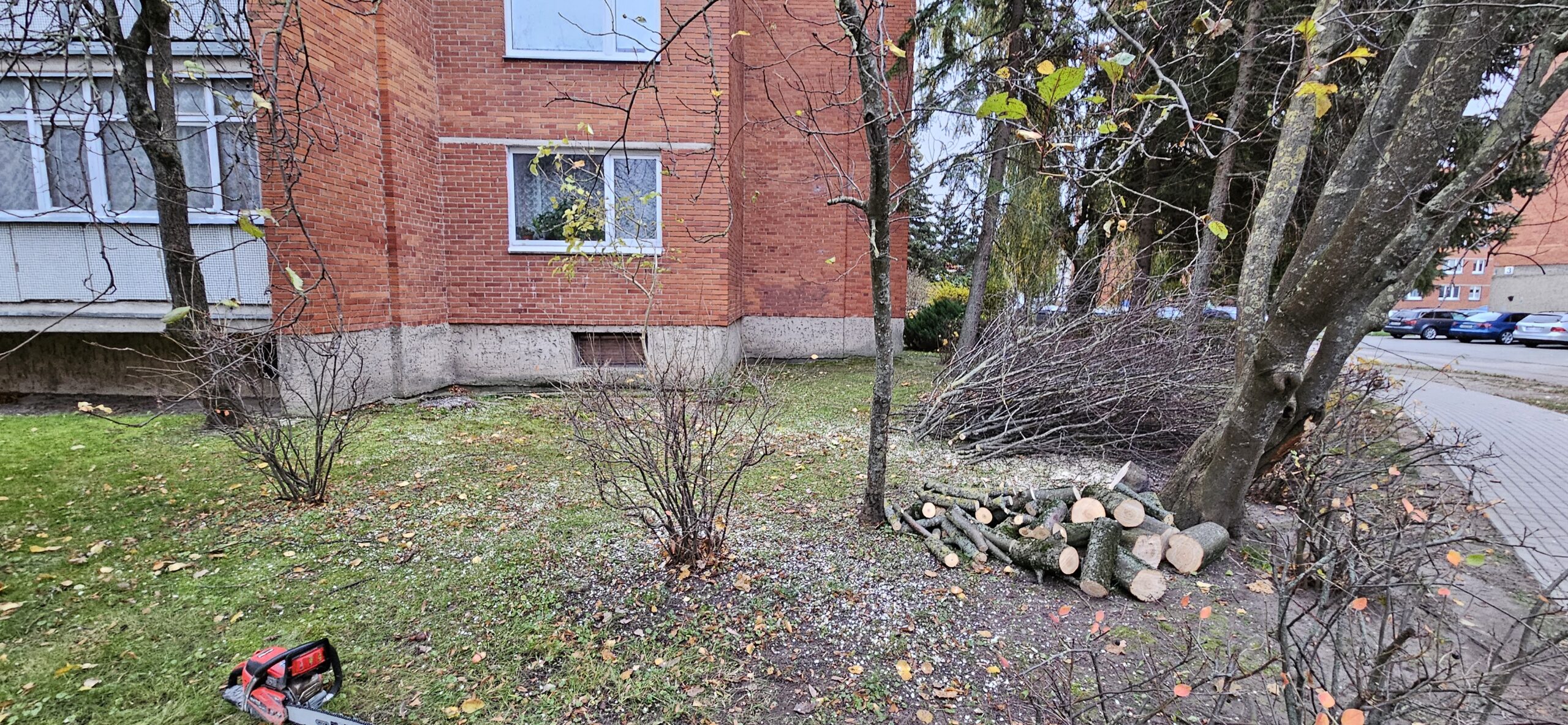 GENĖJIMAS, MEDŽIŲ ŠALINIMAS, GERBŪVIS.