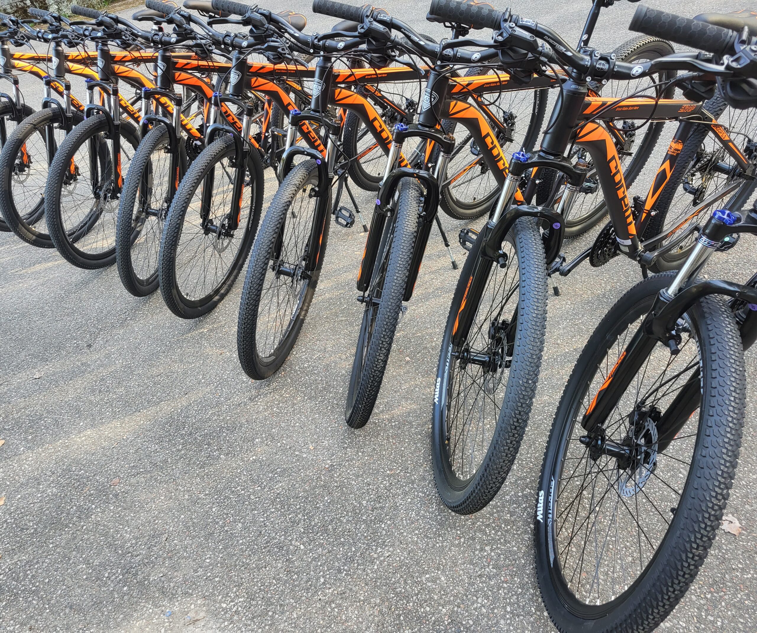 Dviračių nuoma Anykščiuose