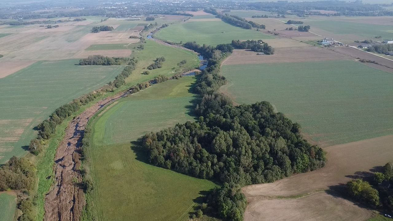 Namų valdos sklypas Pasvalio r.