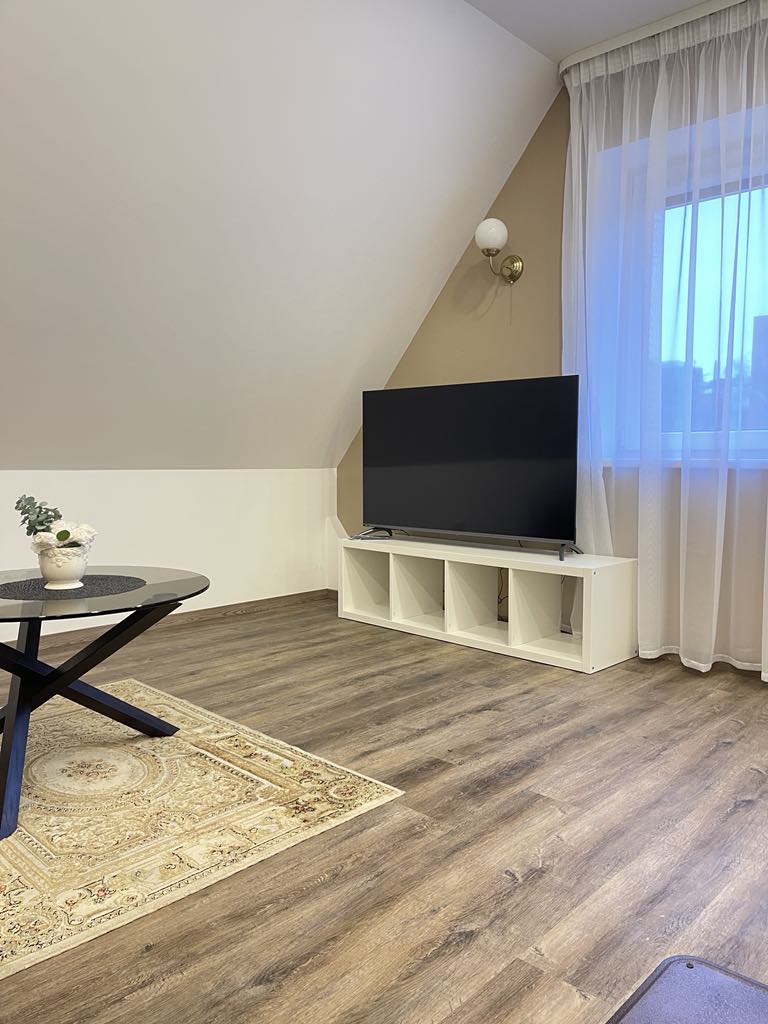 Išnuomojamas 1 kambario butas Klaipedos centre