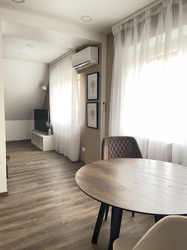 Išnuomojamas 1 kambario butas Klaipedos centre