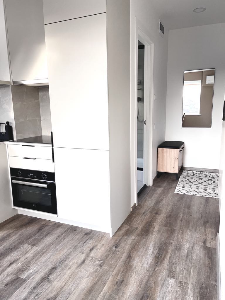 Išnuomojamas 1 kambario butas Klaipedos centre
