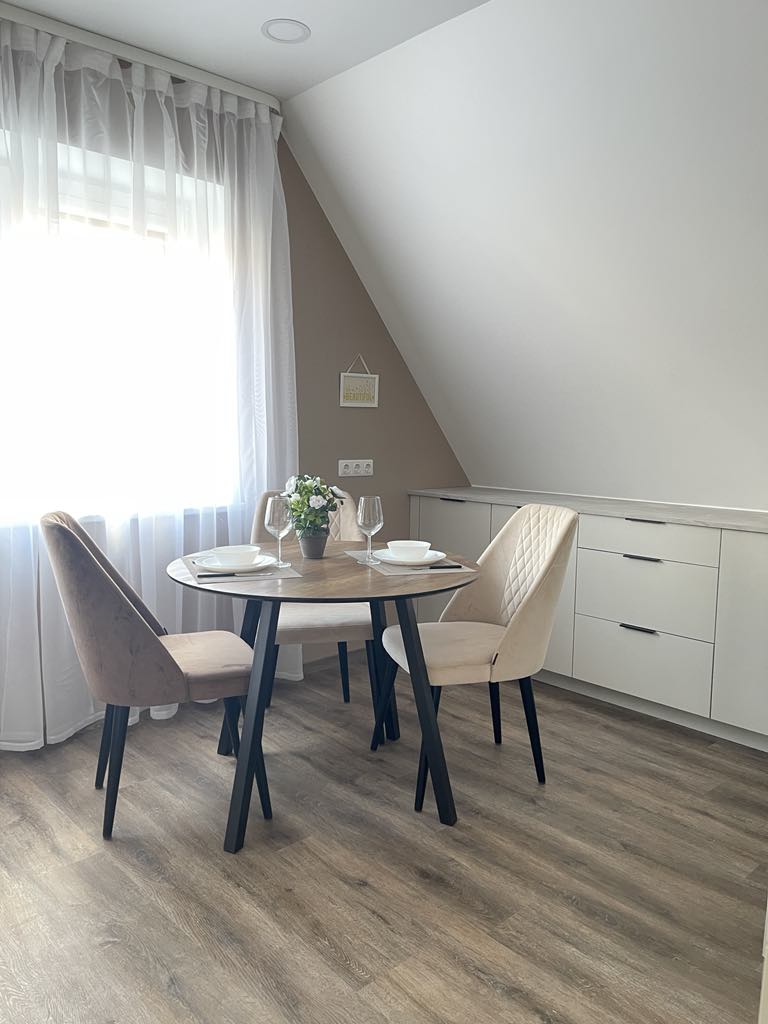 Išnuomojamas 1 kambario butas Klaipedos centre