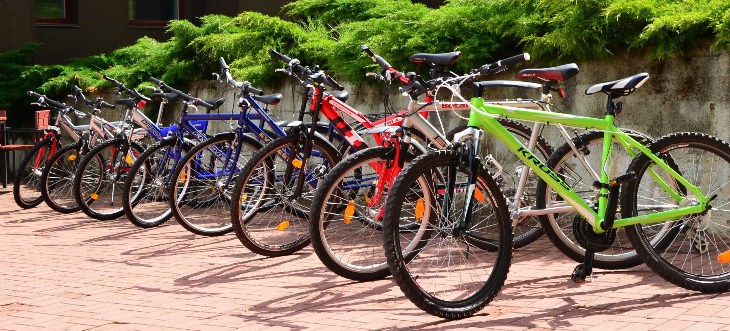 Dviračių nuoma Anykščiuose