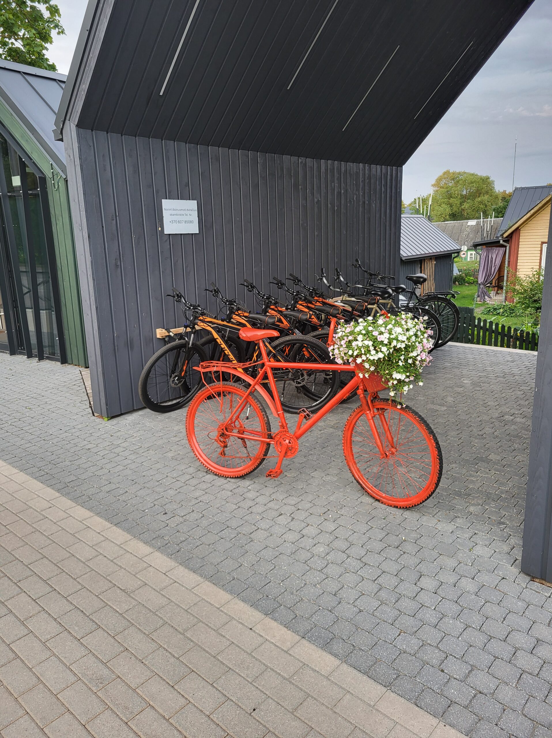 Dviračių nuoma Anykščiuose