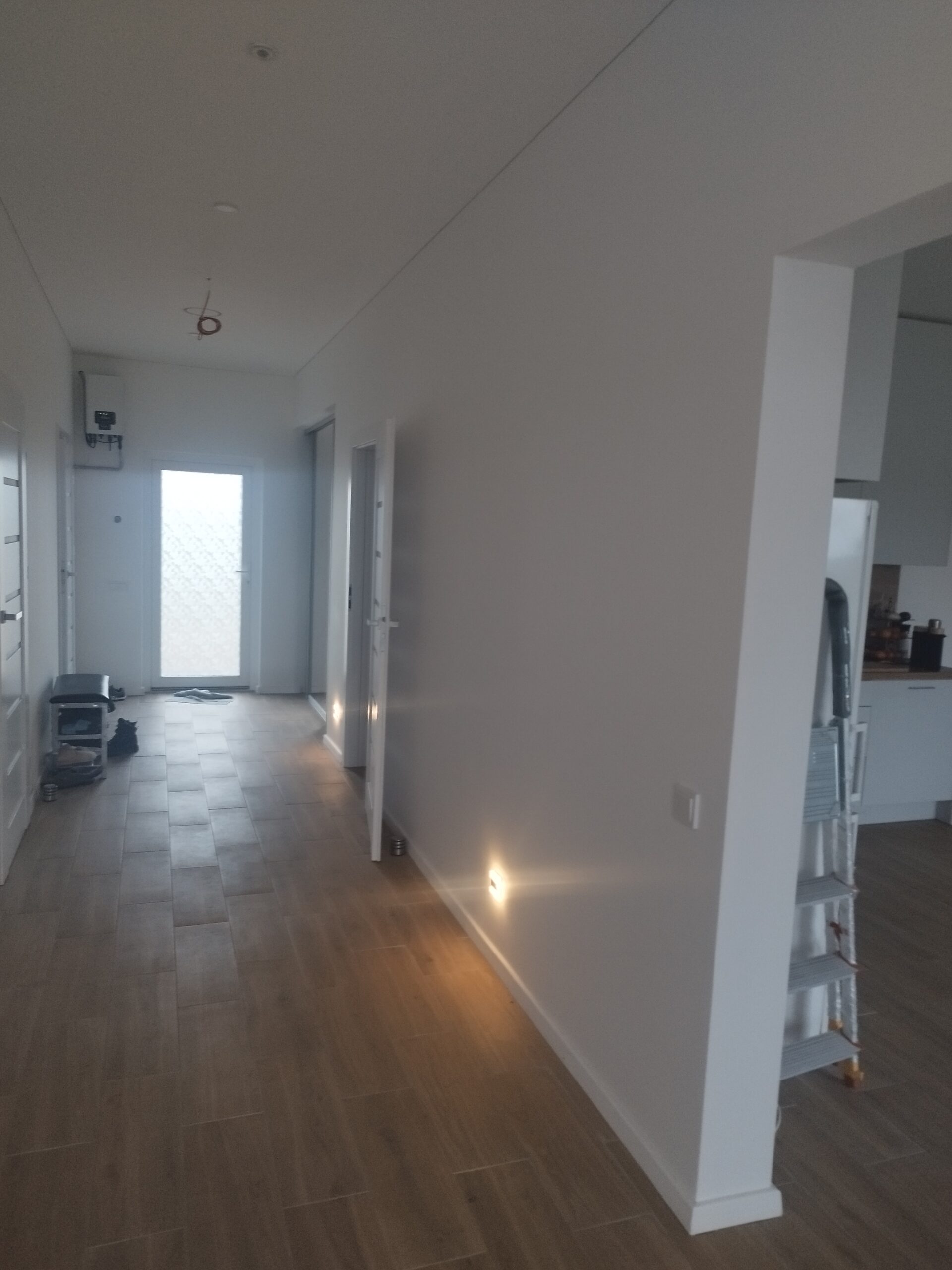 A++ namas 167 kv. Pyplių kaimas