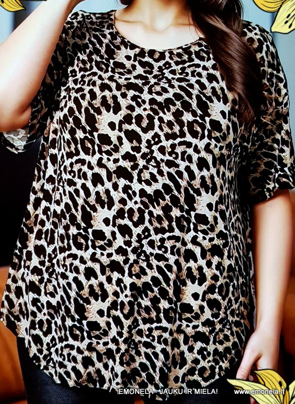 DIDESNIŲ DYDŽIŲ PALAIDINĖS