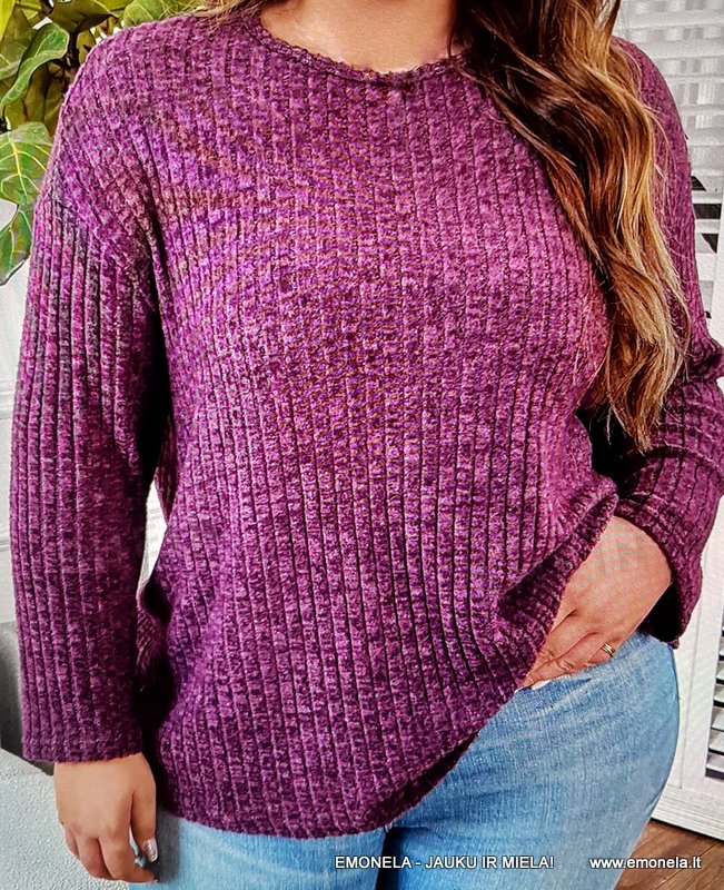 DIDESNIŲ DYDŽIŲ PALAIDINĖS