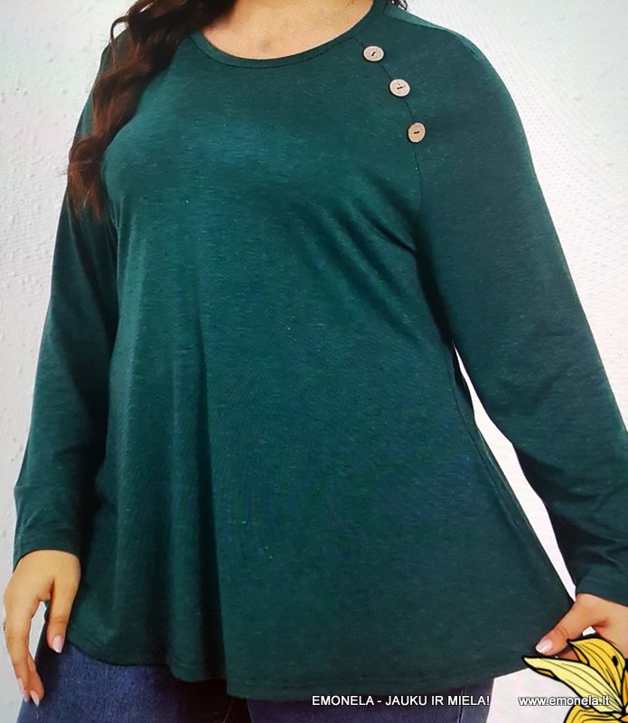 DIDESNIŲ DYDŽIŲ PALAIDINĖS