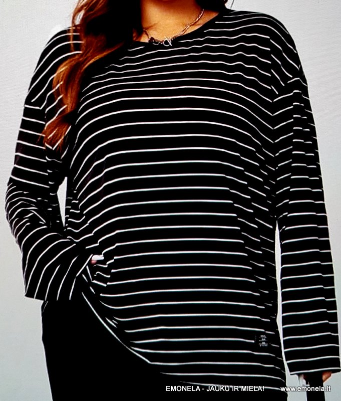 DIDESNIŲ DYDŽIŲ PALAIDINĖS