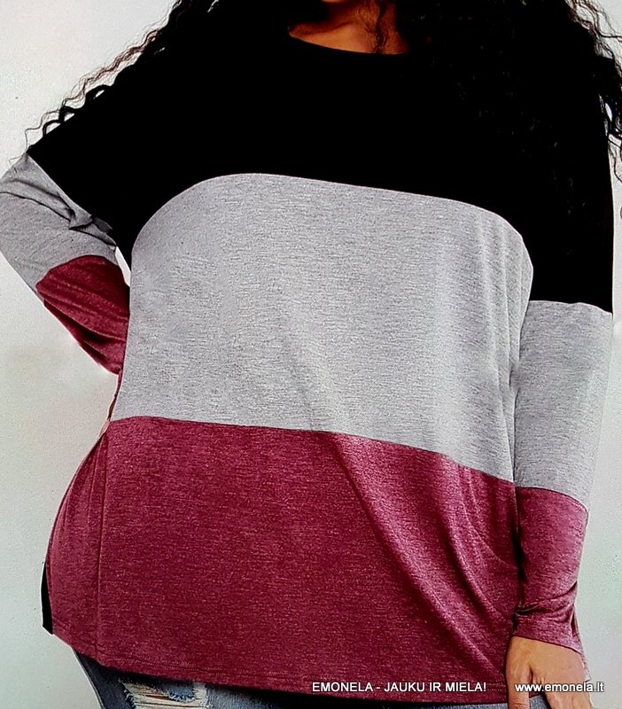 DIDESNIŲ DYDŽIŲ PALAIDINĖS