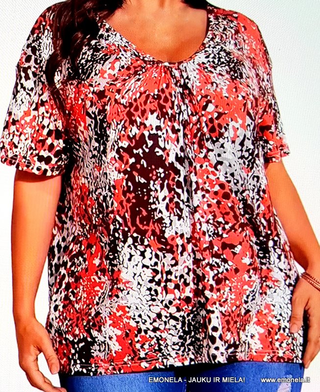 DIDESNIŲ DYDŽIŲ PALAIDINĖS