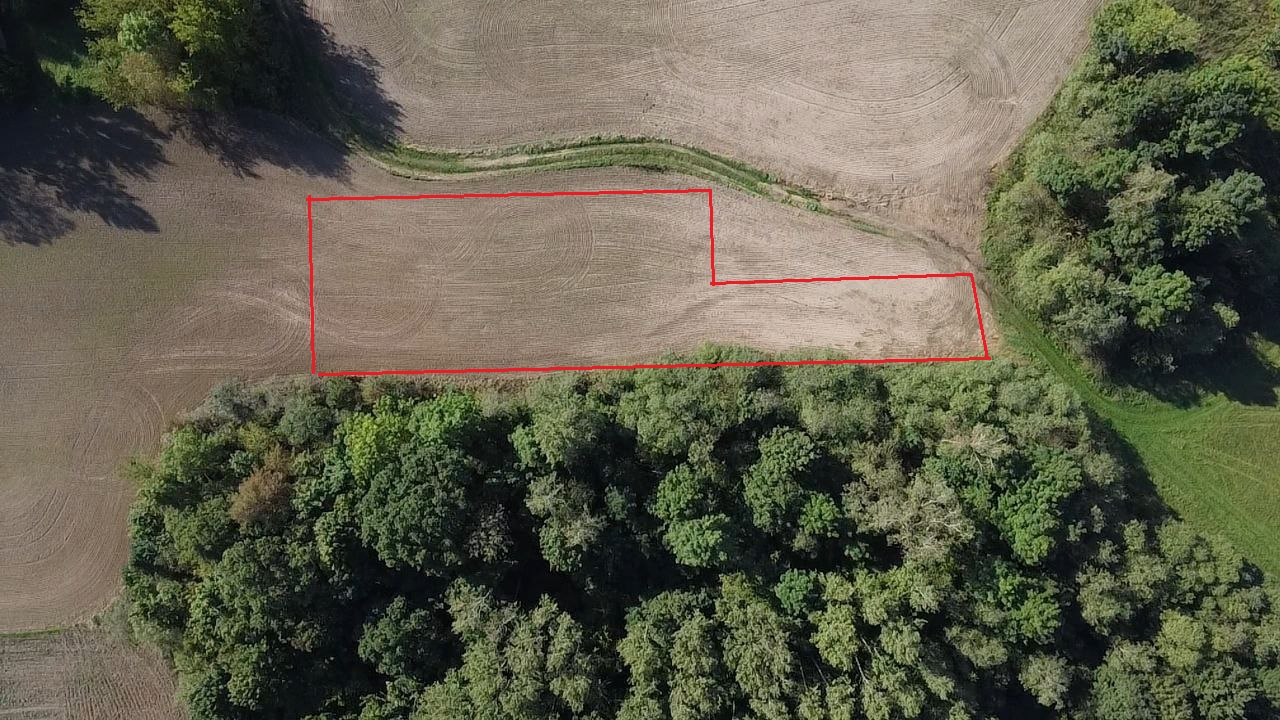 Namų valdos sklypas Pasvalio r. sav.