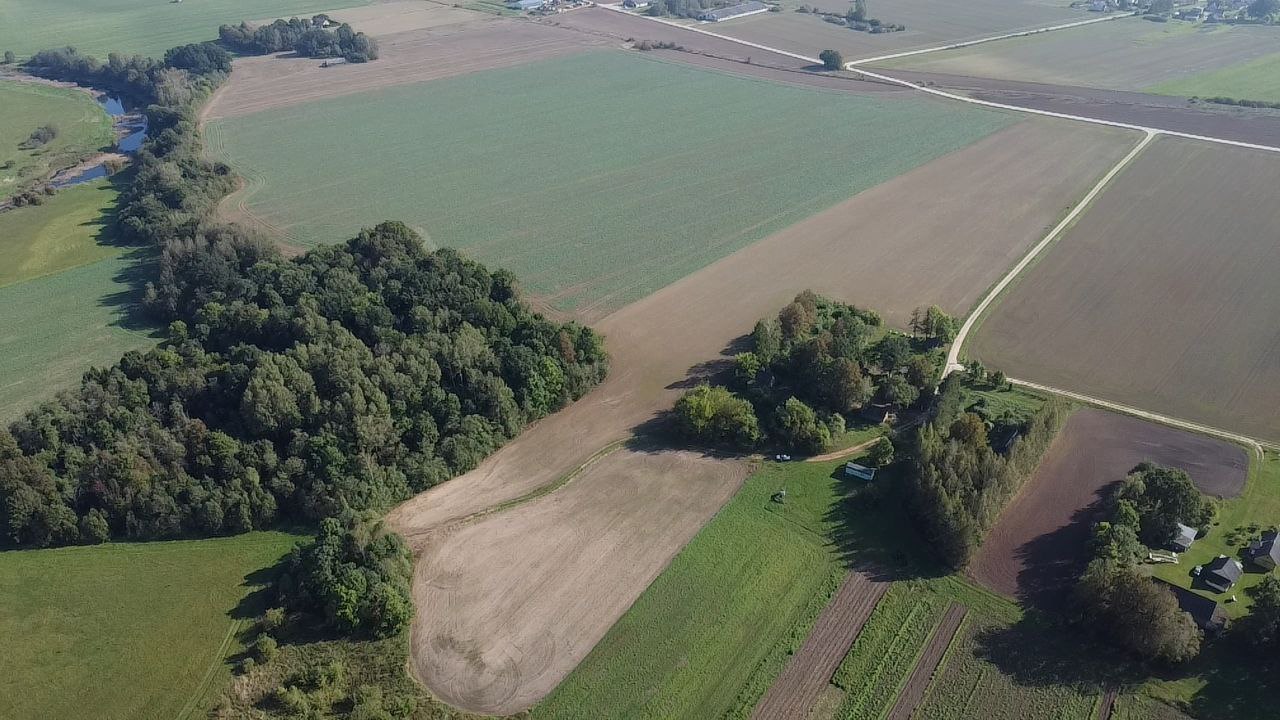 Namų valdos sklypas Pasvalio r. sav.