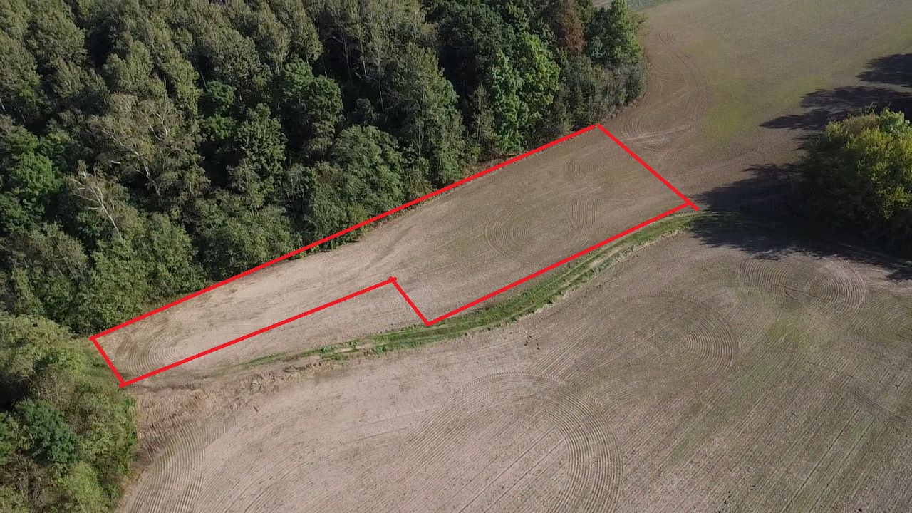 Namų valdos sklypas Pasvalio r. sav.