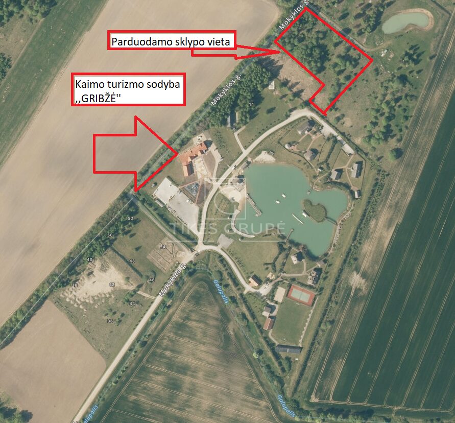 Parduodamas 93,05 a žemės sklypas Gribžinių kaime, šalia kaimo turizmo sodybos „Gribžė“.