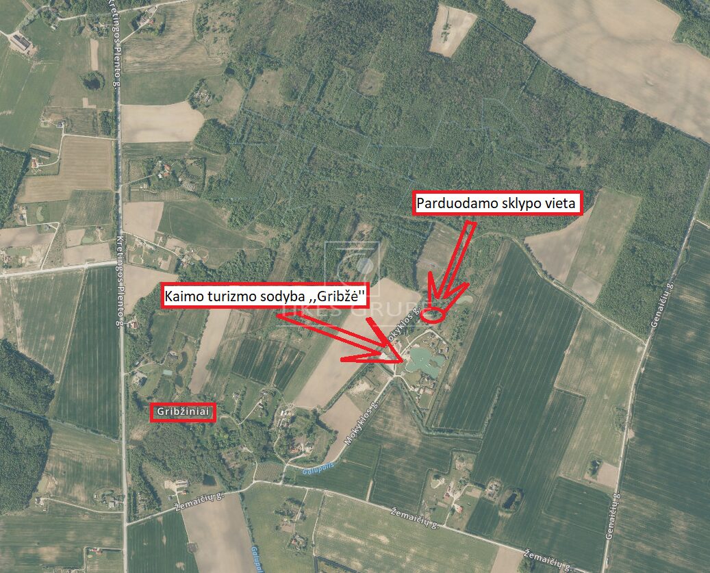 Parduodamas 93,05 a žemės sklypas Gribžinių kaime, šalia kaimo turizmo sodybos „Gribžė“.