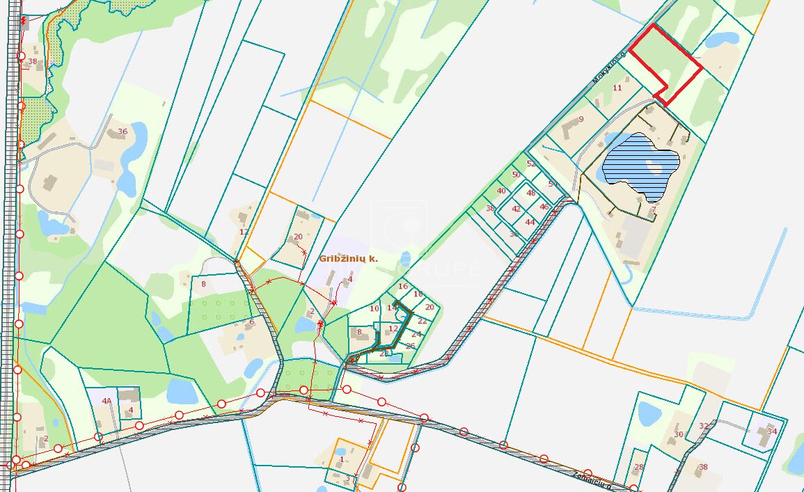 Parduodamas 93,05 a žemės sklypas Gribžinių kaime, šalia kaimo turizmo sodybos „Gribžė“.