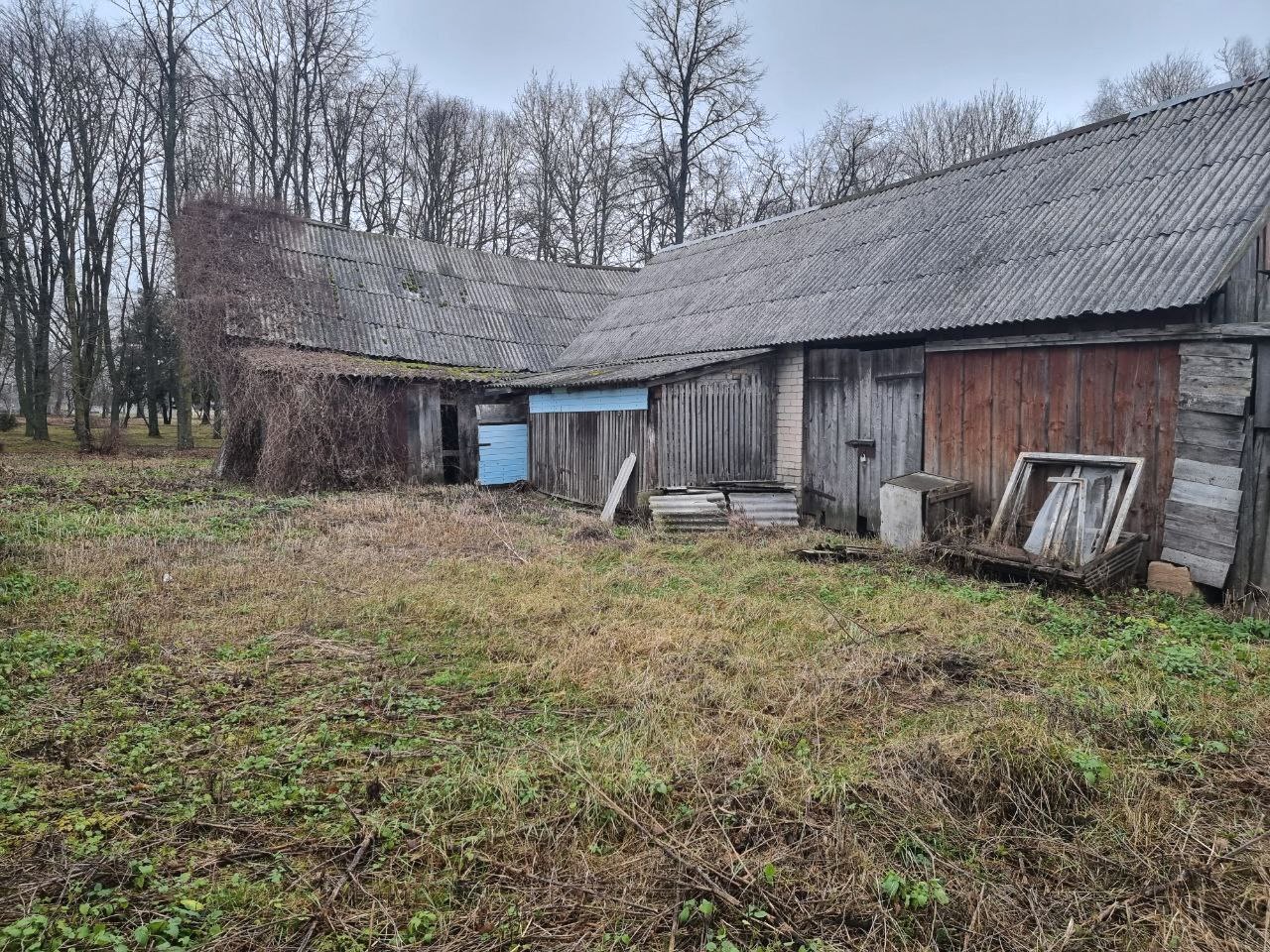 25 a sklypas Radviliškio r. sav., Beinorava