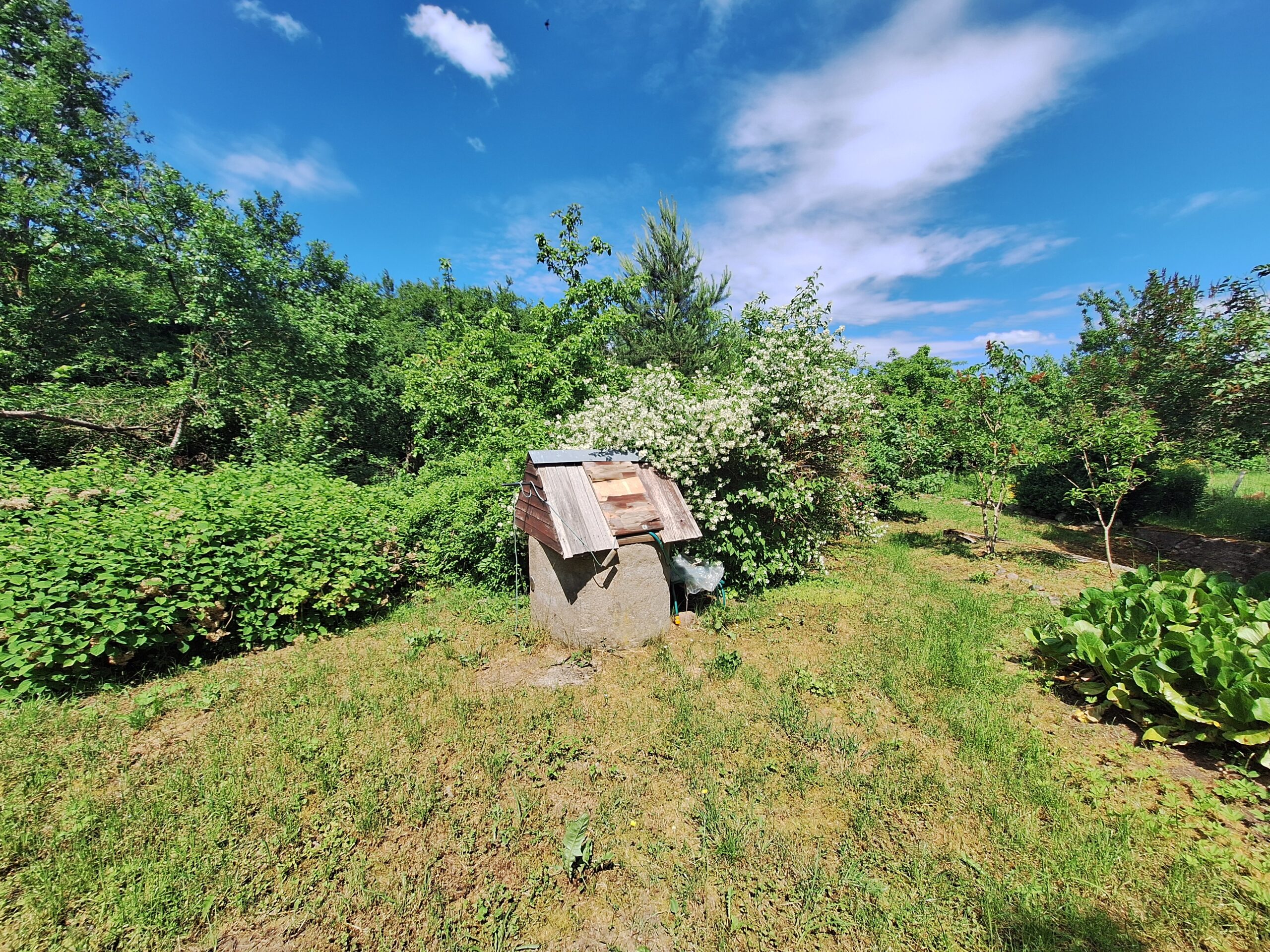 Parduodamas sodo namas su 12 a. sklypu Klaipėdos raj. Šnaukštų k.