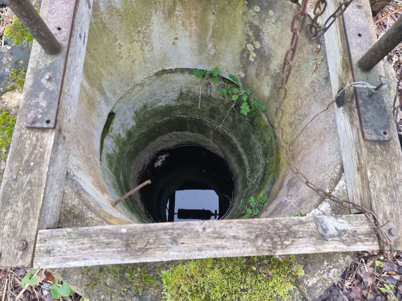 25 a sklypas Radviliškio r. sav., Beinorava