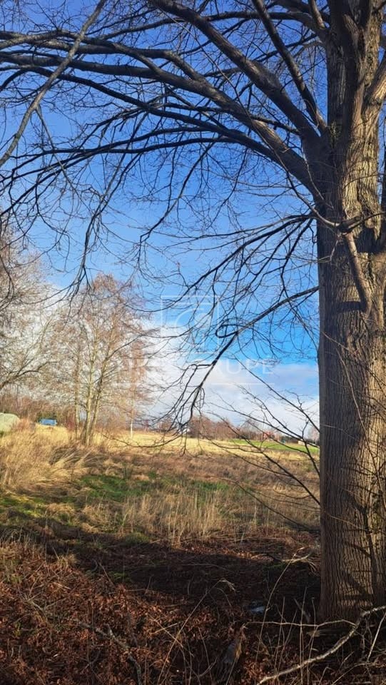 Parduodamas sklypas ramioje ir žavingoje vietoje netoli Klaipėdos – puiki galimybė Jūsų svajonių namui!