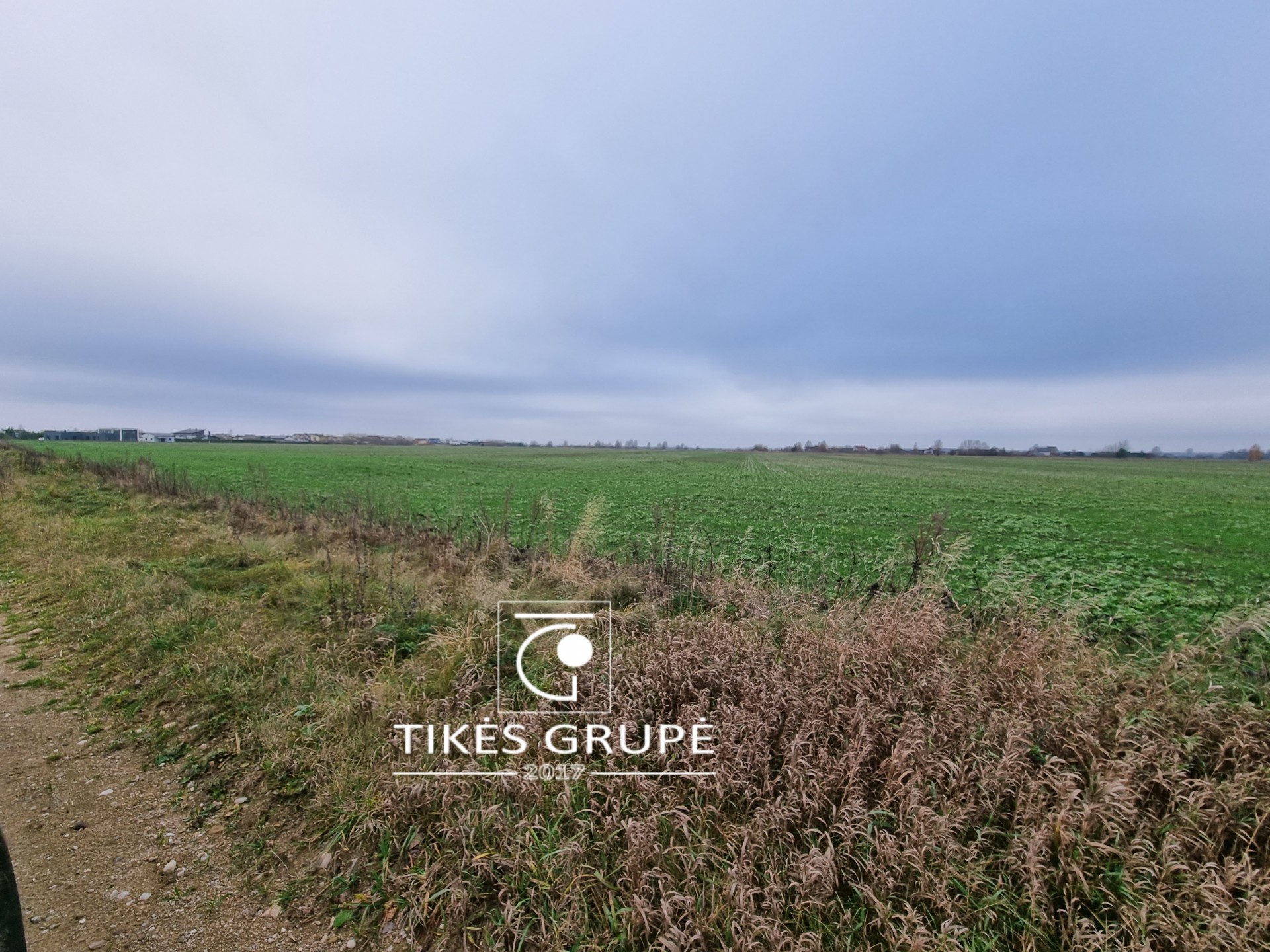 Parduodamas ŽŪ sklypas Leliuose, 3,63 ha