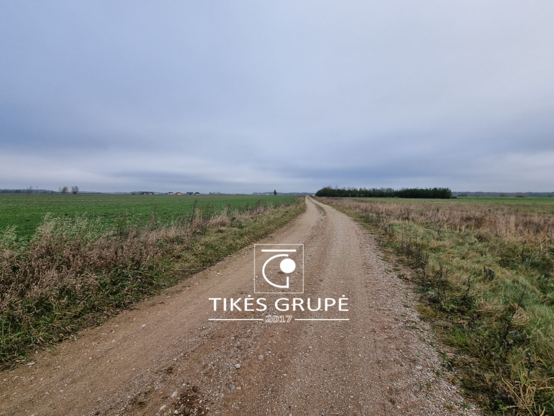 Parduodamas ŽŪ sklypas Leliuose, 3,63 ha