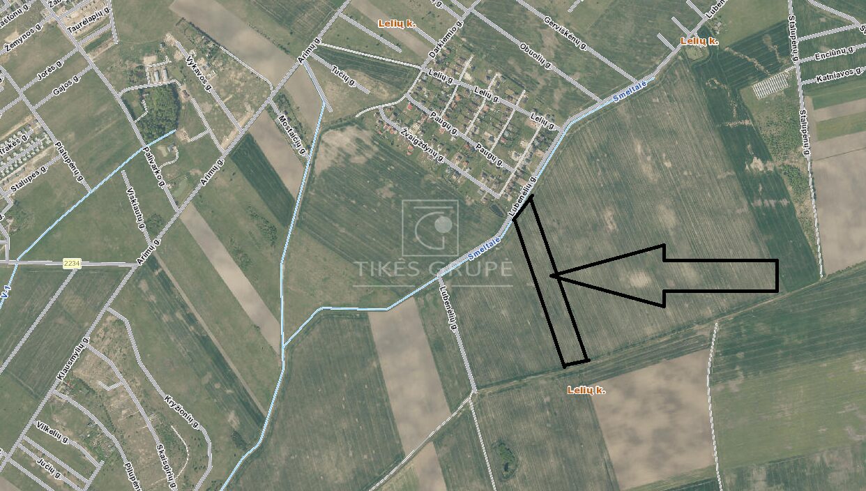 Parduodamas ŽŪ sklypas Leliuose, 3,63 ha