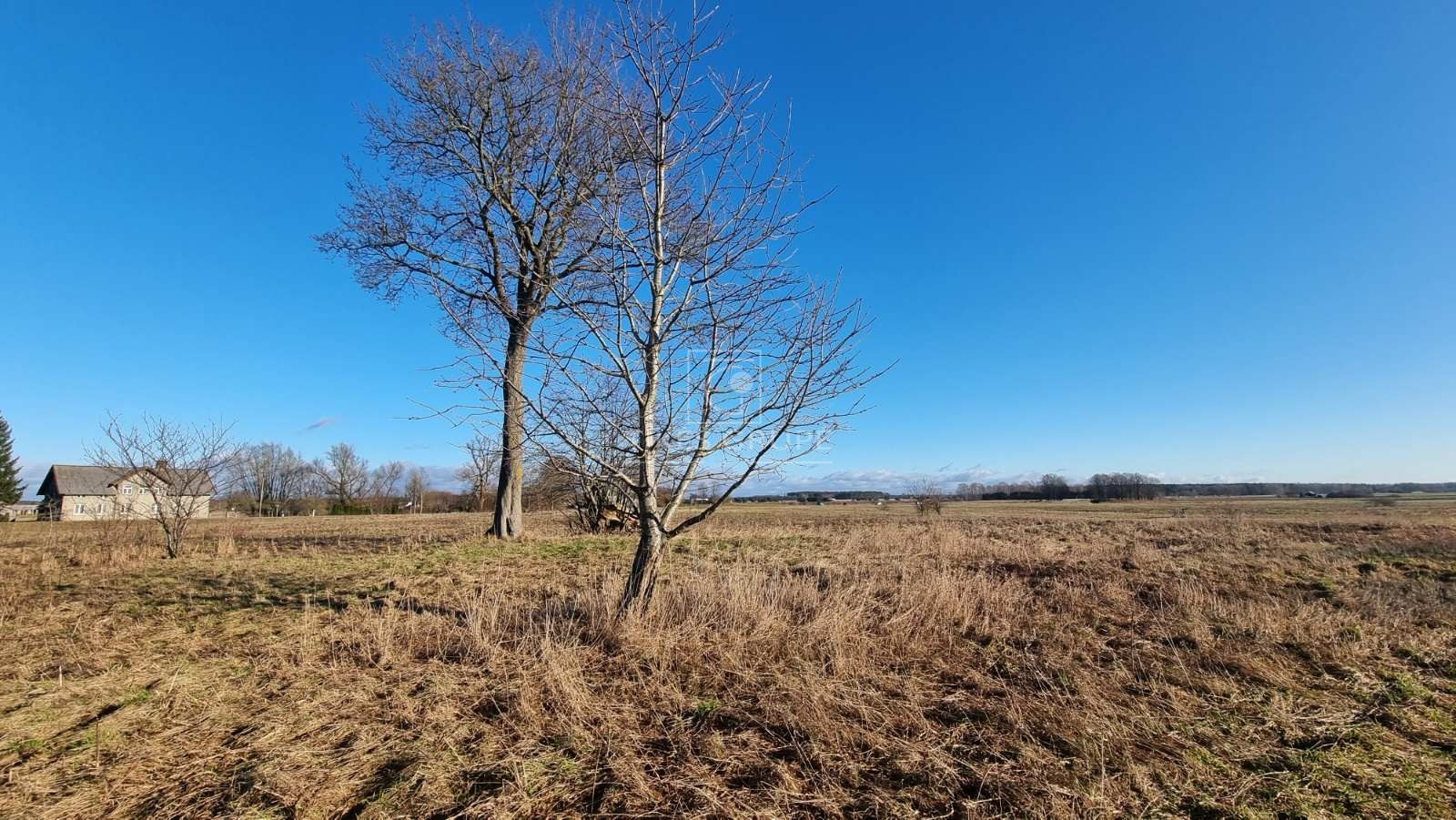 Parduodamas žemės ūkio ir gyvenamosios paskirties sklypas Saugų seniūnijoje, Sakūtėlių kaime!