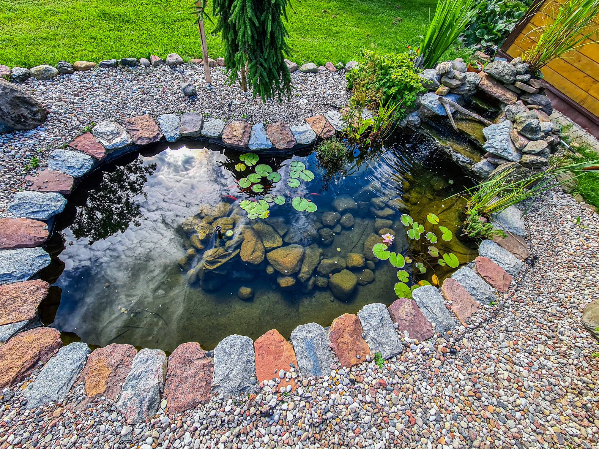 Dekoratyvinių tvenkinių įrengimas, renovacija