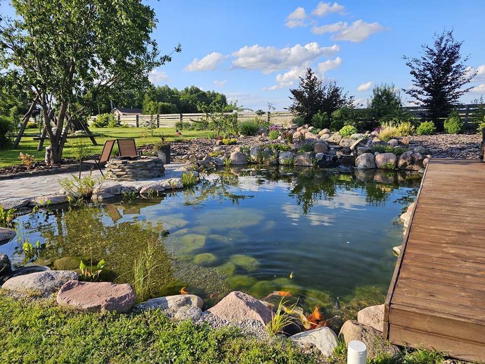 Dekoratyvinių tvenkinių įrengimas, renovacija