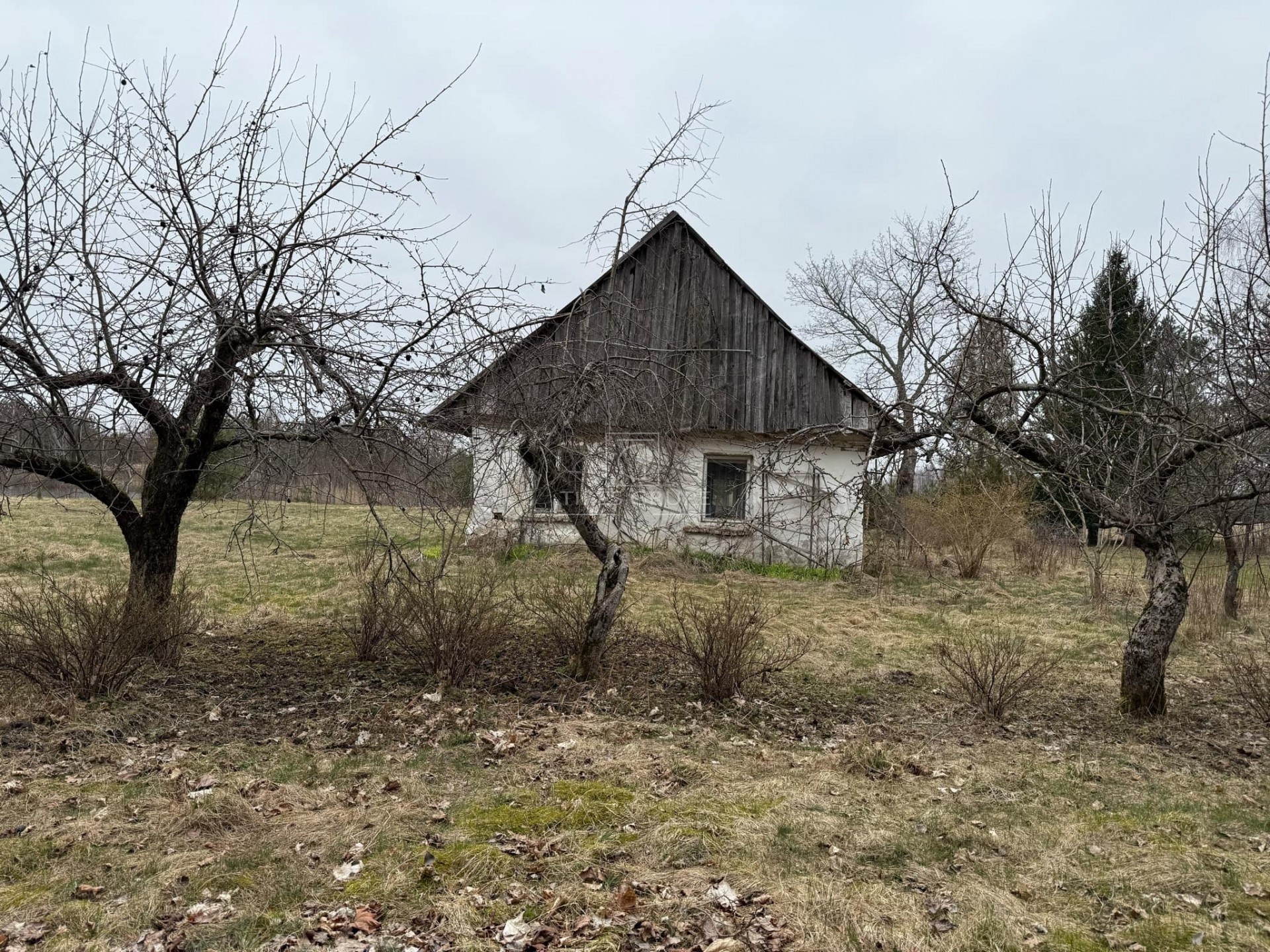 Parduodama unikali sodyba su įžuvintu tvenkiniu Klaipėdos rajone, Poškų k. (Šalia Agluonėnų)