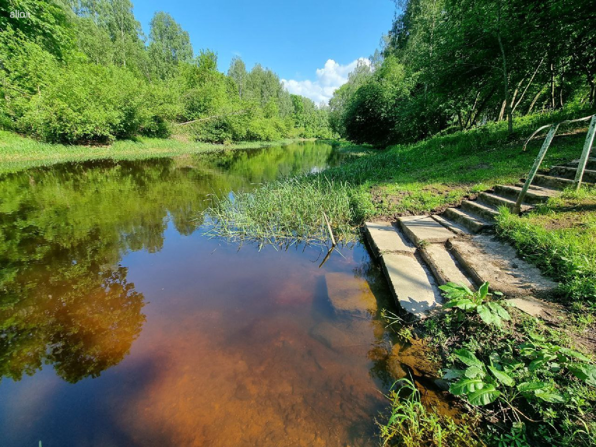 SKLYPAS PRIE UPĖS – PANEVĖŽIO R.